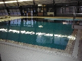 Bild: Hallenbad: Springerbecken